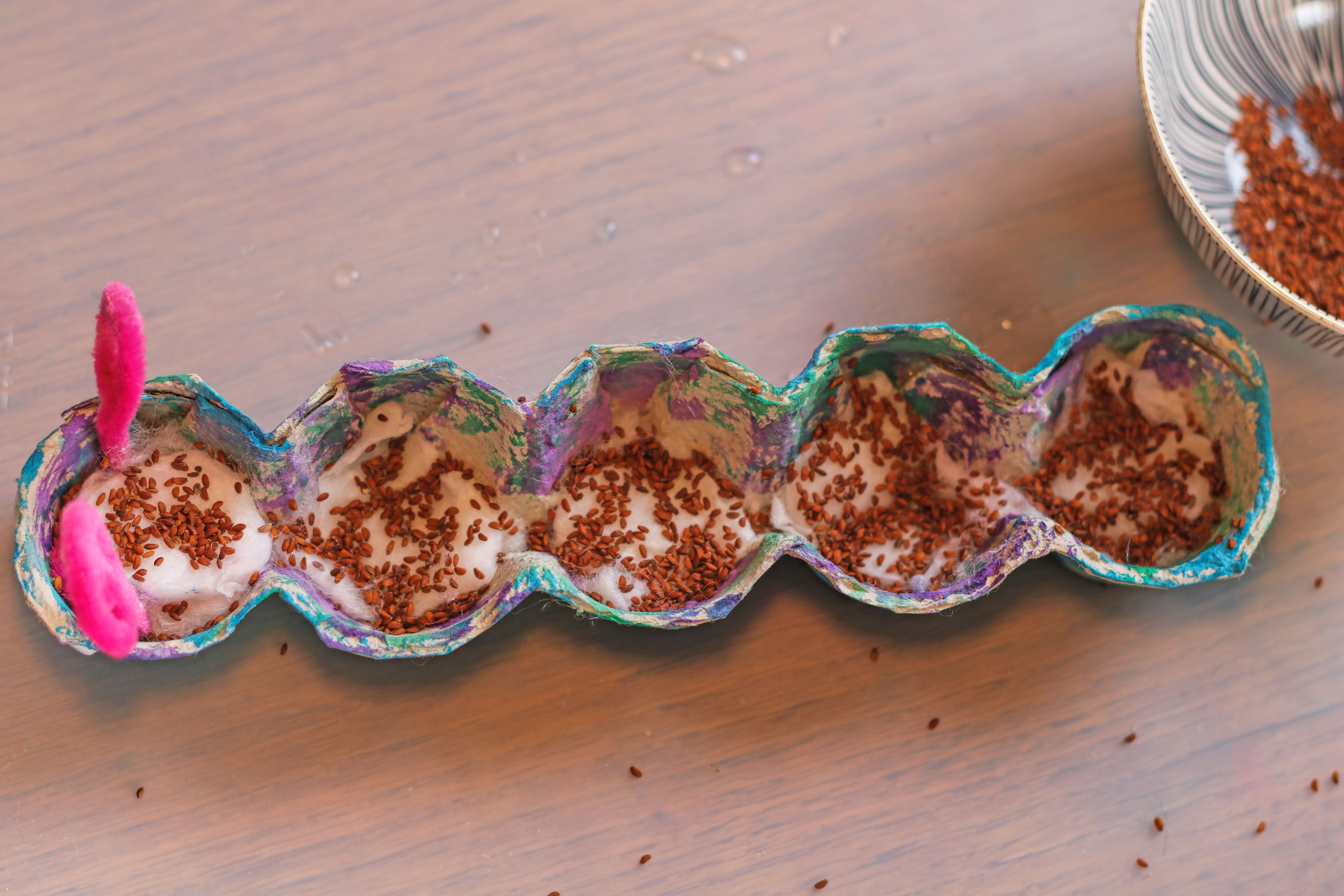 Eierkarton Raupe Kresseraupe basteln mit Kleinkind Ostern Frühjahr u3 unter 3 2 Jahre Wasserfarbe